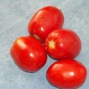 tomate roma