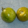 tomate green zebra